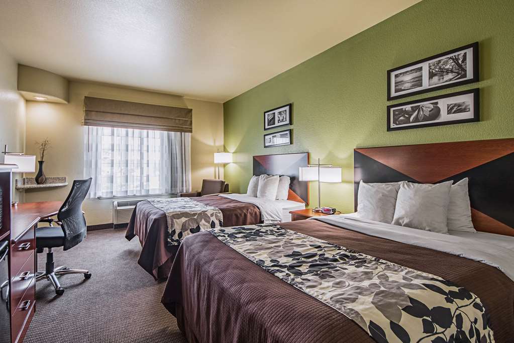 Surestay Plus Hotel By Best Western Near Seaworld San Antonio Oda fotoğraf