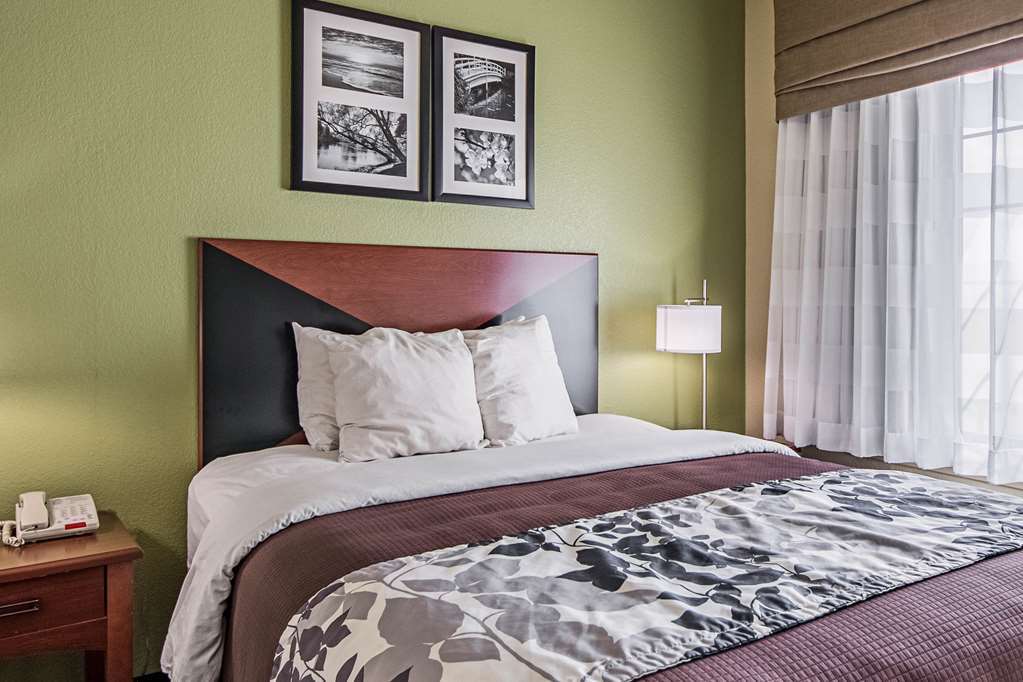 Surestay Plus Hotel By Best Western Near Seaworld San Antonio Oda fotoğraf